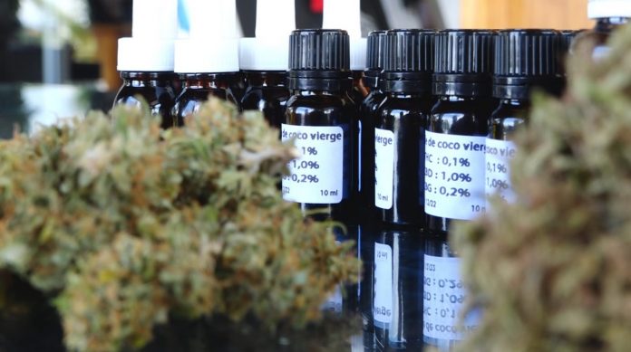 Cannabis thérapeutique : les professionnels dans l’attente d’un cadre juridique